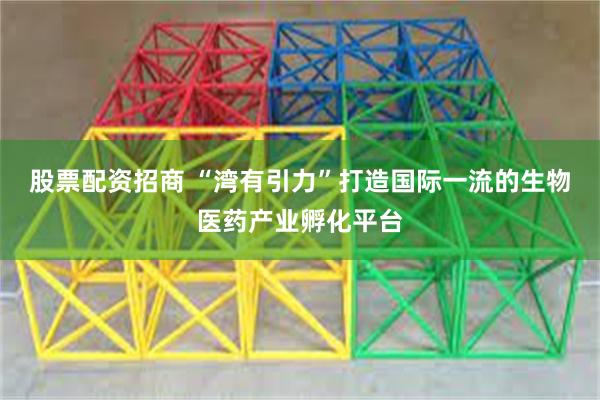 股票配资招商 “湾有引力”打造国际一流的生物医药产业孵化平台