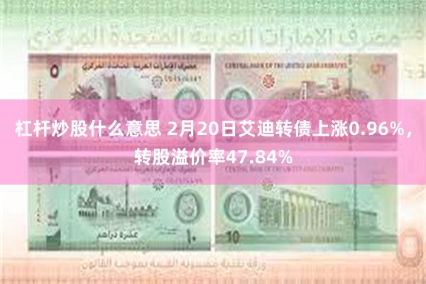 杠杆炒股什么意思 2月20日艾迪转债上涨0.96%，转股溢价率47.84%