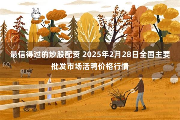 最信得过的炒股配资 2025年2月28日全国主要批发市场活鸭价格行情