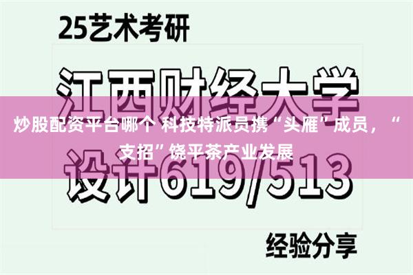 炒股配资平台哪个 科技特派员携“头雁”成员，“支招”饶平茶产业发展