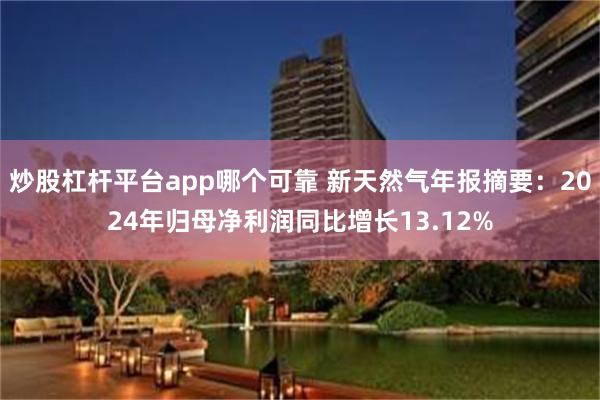 炒股杠杆平台app哪个可靠 新天然气年报摘要：2024年归母净利润同比增长13.12%