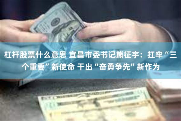 杠杆股票什么意思 宜昌市委书记熊征宇：扛牢“三个重要”新使命 干出“奋勇争先”新作为
