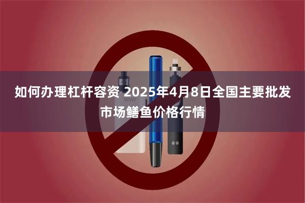 如何办理杠杆容资 2025年4月8日全国主要批发市场鳝鱼价格行情