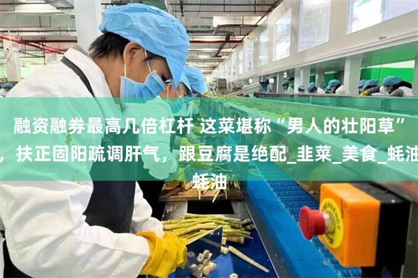 融资融券最高几倍杠杆 这菜堪称“男人的壮阳草”，扶正固阳疏调肝气，跟豆腐是绝配_韭菜_美食_蚝油