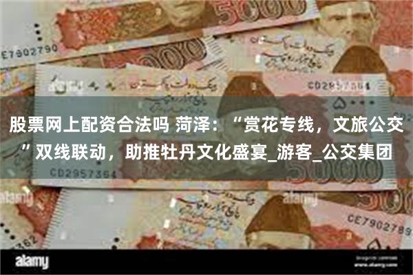 股票网上配资合法吗 菏泽：“赏花专线，文旅公交”双线联动，助推牡丹文化盛宴_游客_公交集团