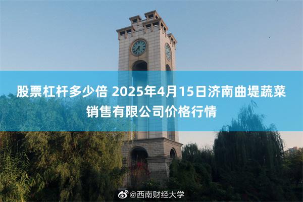 股票杠杆多少倍 2025年4月15日济南曲堤蔬菜销售有限公司价格行情