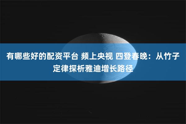 有哪些好的配资平台 频上央视 四登春晚：从竹子定律探析雅迪增长路径
