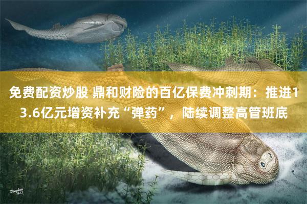免费配资炒股 鼎和财险的百亿保费冲刺期：推进13.6亿元增资补充“弹药”，陆续调整高管班底