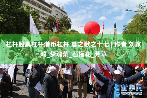 杠杆股票杠杆港币杠杆 夏之歌之十七 | 作者 刘家鸿_梦魂萦_石榴花_芳草