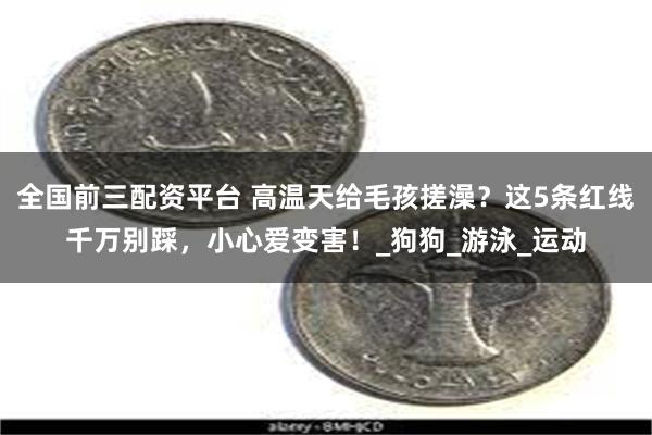 全国前三配资平台 高温天给毛孩搓澡？这5条红线千万别踩，小心爱变害！_狗狗_游泳_运动
