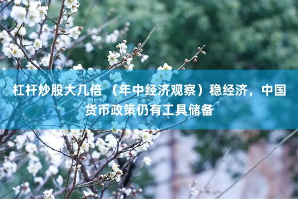 杠杆炒股大几倍 （年中经济观察）稳经济，中国货币政策仍有工具储备