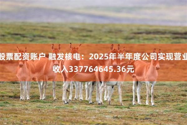 股票配资账户 融发核电：2025年半年度公司实现营业收入337764645.36元
