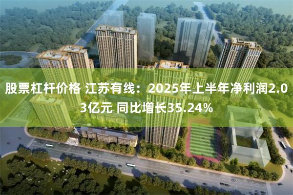 股票杠杆价格 江苏有线：2025年上半年净利润2.03亿元 同比增长35.24%