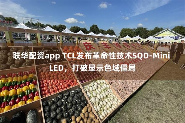 联华配资app TCL发布革命性技术SQD-Mini LED，打破显示色域僵局