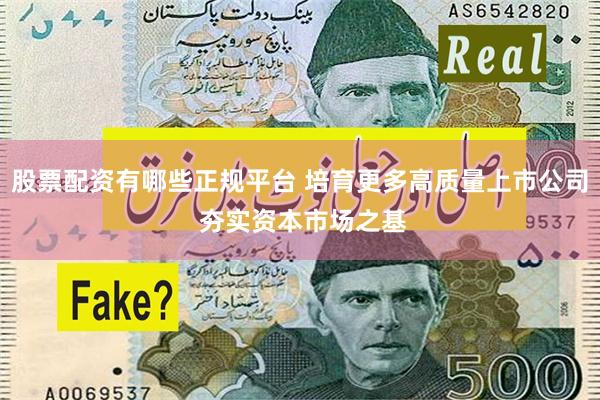 股票配资有哪些正规平台 培育更多高质量上市公司 夯实资本市场之基