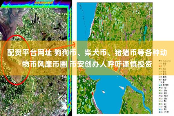 配资平台网址 狗狗币、柴犬币、猪猪币等各种动物币风靡币圈 币安创办人呼吁谨慎投资